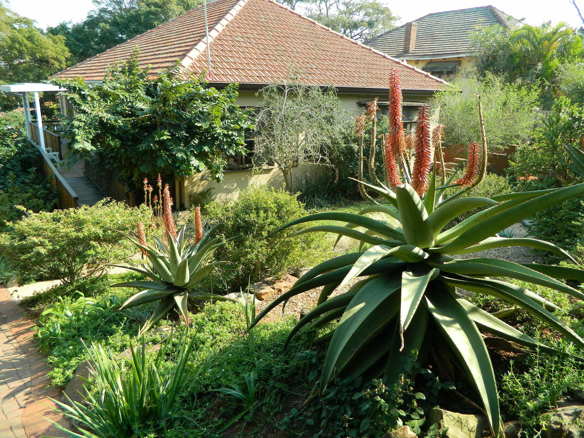 Mackaya Bella Guest House Durban Exterior photo